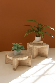 SET OF TWO WOODEN DISPLAY STOOLS