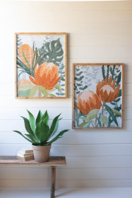 SET OF TWO FRAMED PRINTS UNDER GLASS - PROTEA