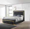 Contemporary Glam King Black Fabric Upholstered Panel 1pc Queen Bed Black Fabric Gold Legs Bedroom Furniture